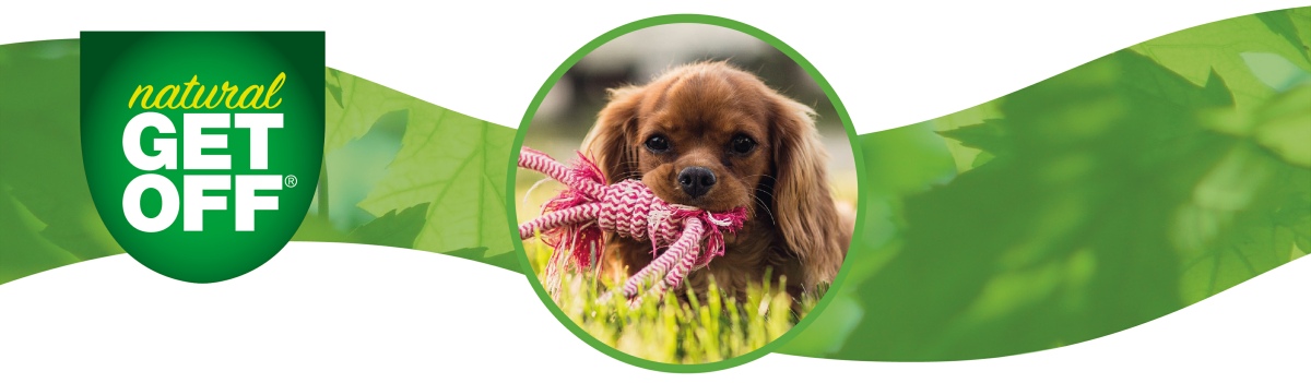 Products made from natural products to help you to care for your pet and its environment